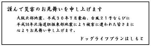 お見舞い
